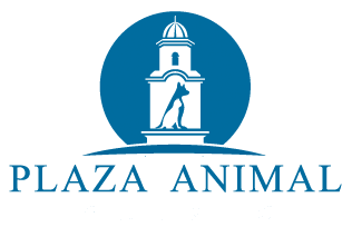 Plaza Animal Clinic
